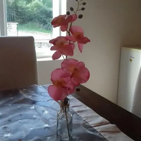 Apartman Deny Zára